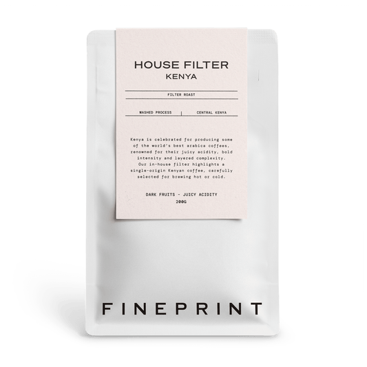 House Filter